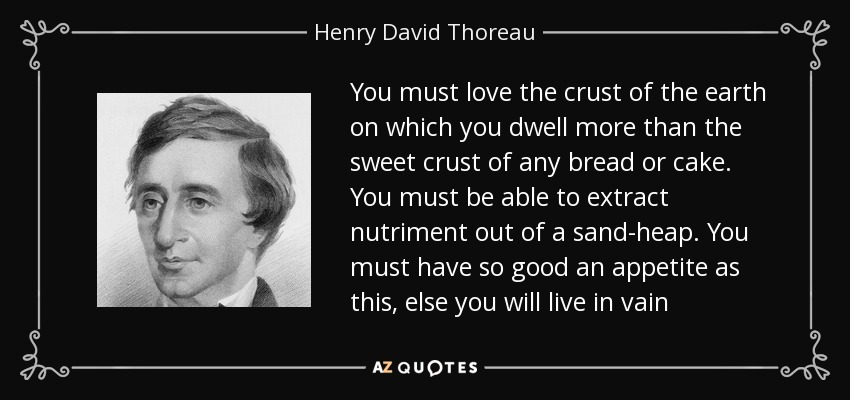 You must love the crust of the earth on which you dwell more than the sweet crust of any bread or cake. You must be able to extract nutriment out of a sand-heap. You must have so good an appetite as this, else you will live in vain - Henry David Thoreau