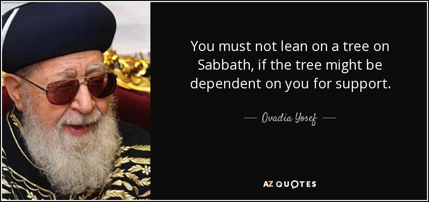 You must not lean on a tree on Sabbath, if the tree might be dependent on you for support. - Ovadia Yosef