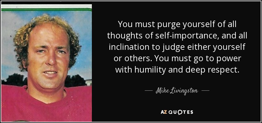 You must purge yourself of all thoughts of self-importance, and all inclination to judge either yourself or others. You must go to power with humility and deep respect. - Mike Livingston