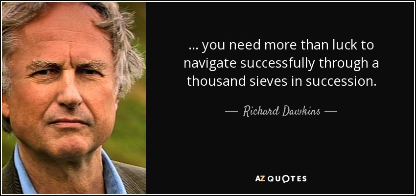... you need more than luck to navigate successfully through a thousand sieves in succession. - Richard Dawkins