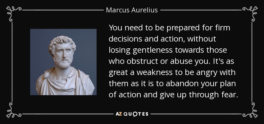 You need to be prepared for firm decisions and action, without losing gentleness towards those who obstruct or abuse you. It's as great a weakness to be angry with them as it is to abandon your plan of action and give up through fear. - Marcus Aurelius