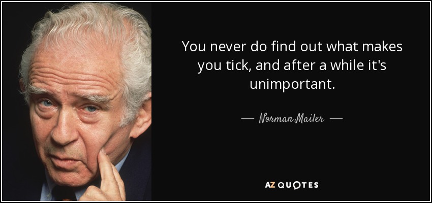 You never do find out what makes you tick, and after a while it's unimportant. - Norman Mailer