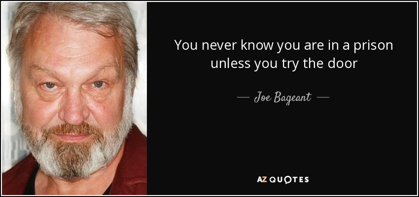 You never know you are in a prison unless you try the door - Joe Bageant
