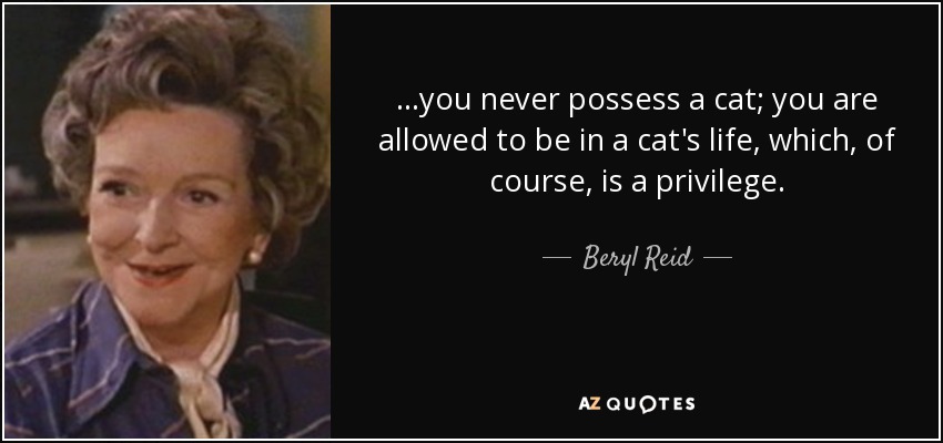 ...you never possess a cat; you are allowed to be in a cat's life, which, of course, is a privilege. - Beryl Reid