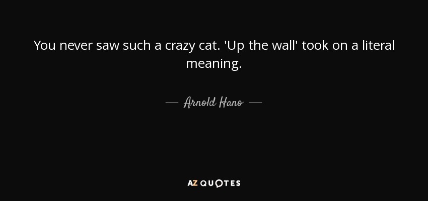 You never saw such a crazy cat. 'Up the wall' took on a literal meaning. - Arnold Hano