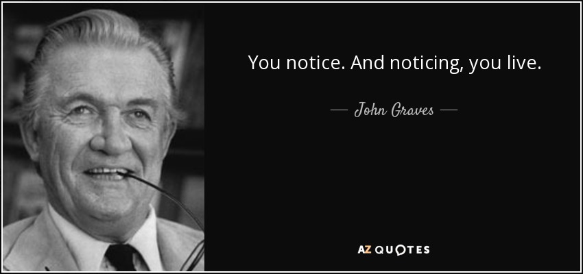 You notice. And noticing, you live. - John Graves