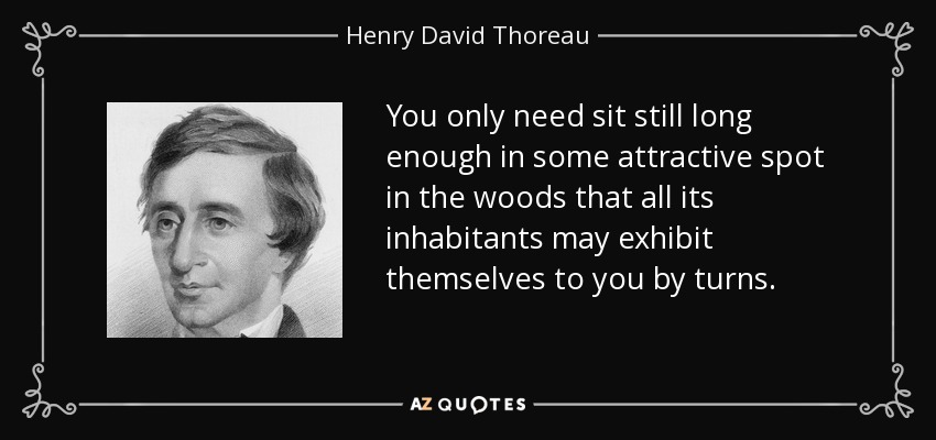 You only need sit still long enough in some attractive spot in the woods that all its inhabitants may exhibit themselves to you by turns. - Henry David Thoreau