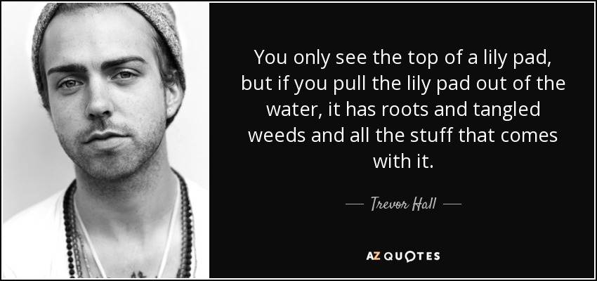 You only see the top of a lily pad, but if you pull the lily pad out of the water, it has roots and tangled weeds and all the stuff that comes with it. - Trevor Hall