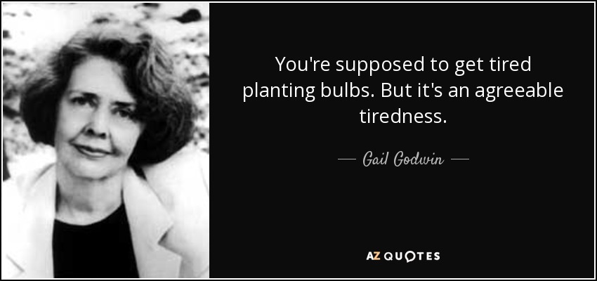 You're supposed to get tired planting bulbs. But it's an agreeable tiredness. - Gail Godwin
