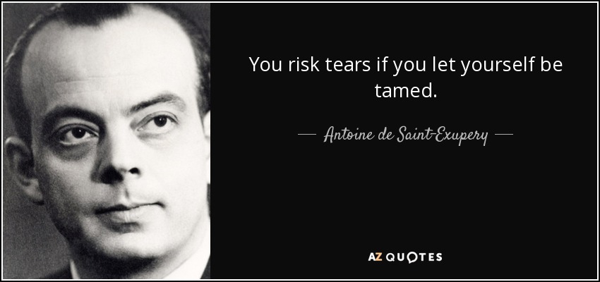 You risk tears if you let yourself be tamed. - Antoine de Saint-Exupery