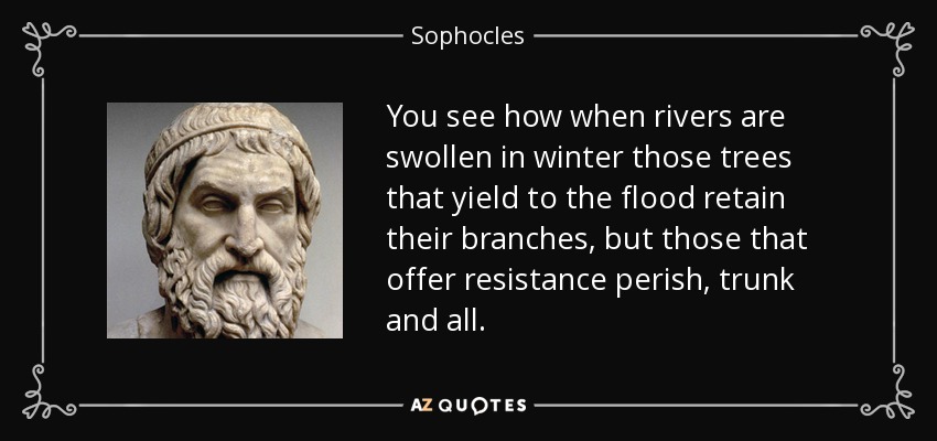 You see how when rivers are swollen in winter those trees that yield to the flood retain their branches, but those that offer resistance perish, trunk and all. - Sophocles