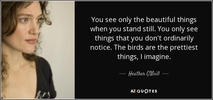 You see only the beautiful things when you stand still. You only see things that you don't ordinarily notice. The birds are the prettiest things, I imagine. - Heather O'Neill