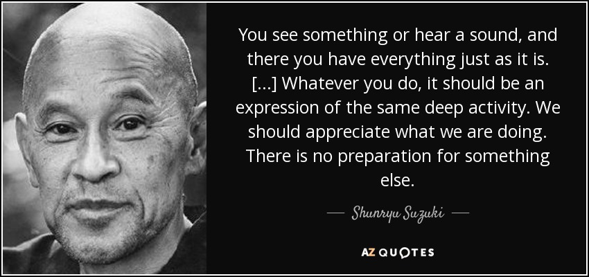 You see something or hear a sound, and there you have everything just as it is. [...] Whatever you do, it should be an expression of the same deep activity. We should appreciate what we are doing. There is no preparation for something else. - Shunryu Suzuki