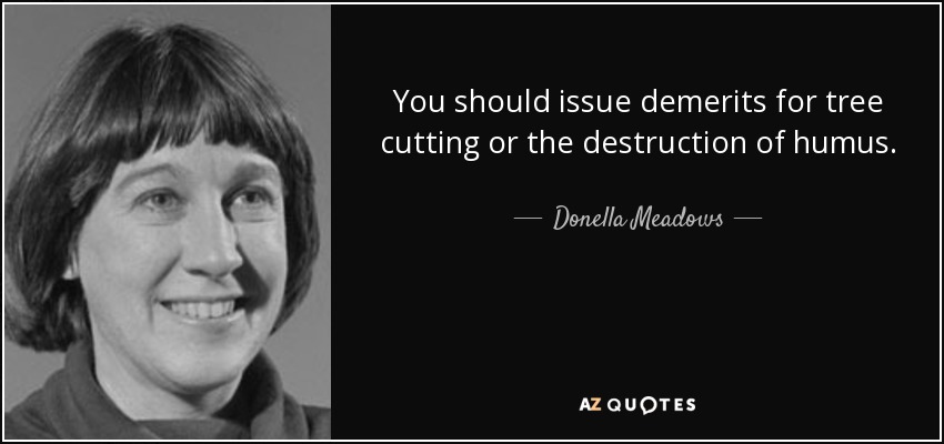 You should issue demerits for tree cutting or the destruction of humus. - Donella Meadows