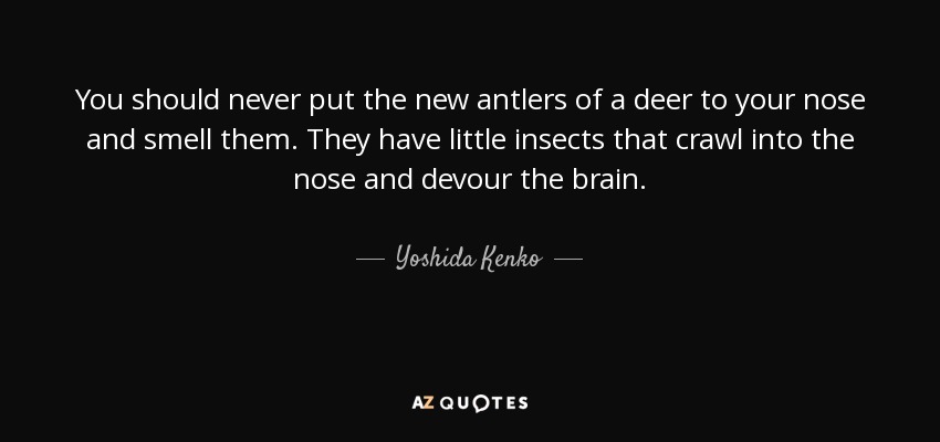 You should never put the new antlers of a deer to your nose and smell them. They have little insects that crawl into the nose and devour the brain. - Yoshida Kenko