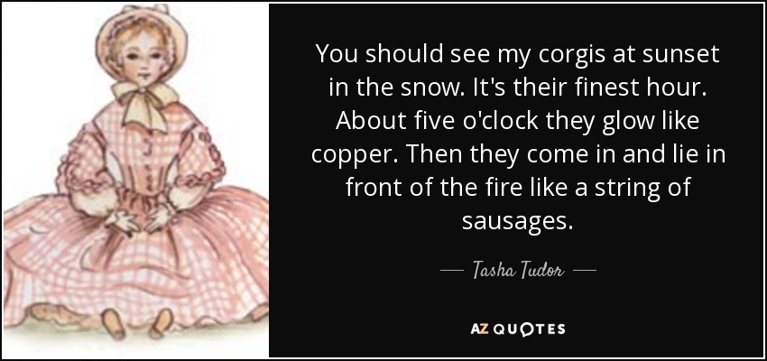 You should see my corgis at sunset in the snow. It's their finest hour. About five o'clock they glow like copper. Then they come in and lie in front of the fire like a string of sausages. - Tasha Tudor