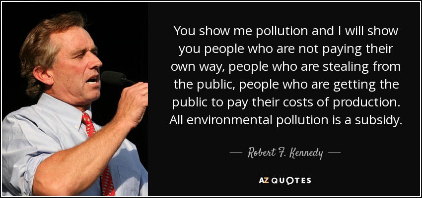 You show me pollution and I will show you people who are not paying their own way, people who are stealing from the public, people who are getting the public to pay their costs of production. All environmental pollution is a subsidy. - Robert F. Kennedy, Jr.
