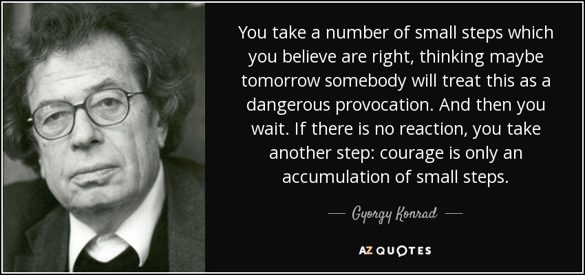 You take a number of small steps which you believe are right, thinking maybe tomorrow somebody will treat this as a dangerous provocation. And then you wait. If there is no reaction, you take another step: courage is only an accumulation of small steps. - Gyorgy Konrad