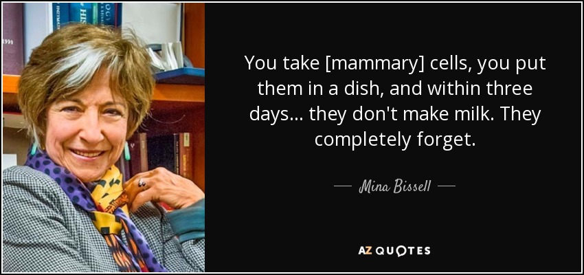You take [mammary] cells, you put them in a dish, and within three days ... they don't make milk. They completely forget. - Mina Bissell
