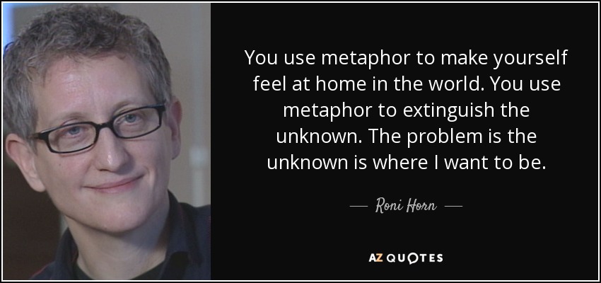 You use metaphor to make yourself feel at home in the world. You use metaphor to extinguish the unknown. The problem is the unknown is where I want to be. - Roni Horn