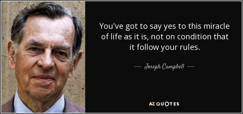 You've got to say yes to this miracle of life as it is, not on condition that it follow your rules. - Joseph Campbell