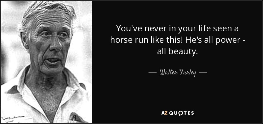 You've never in your life seen a horse run like this! He's all power - all beauty. - Walter Farley