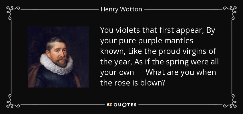 You violets that first appear, By your pure purple mantles known, Like the proud virgins of the year, As if the spring were all your own — What are you when the rose is blown? - Henry Wotton