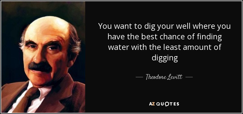 You want to dig your well where you have the best chance of finding water with the least amount of digging - Theodore Levitt