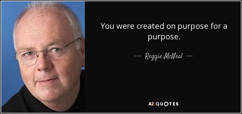 You were created on purpose for a purpose. - Reggie McNeal