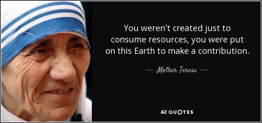 You weren't created just to consume resources, you were put on this Earth to make a contribution. - Mother Teresa