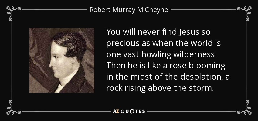 You will never find Jesus so precious as when the world is one vast howling wilderness. Then he is like a rose blooming in the midst of the desolation, a rock rising above the storm. - Robert Murray M'Cheyne