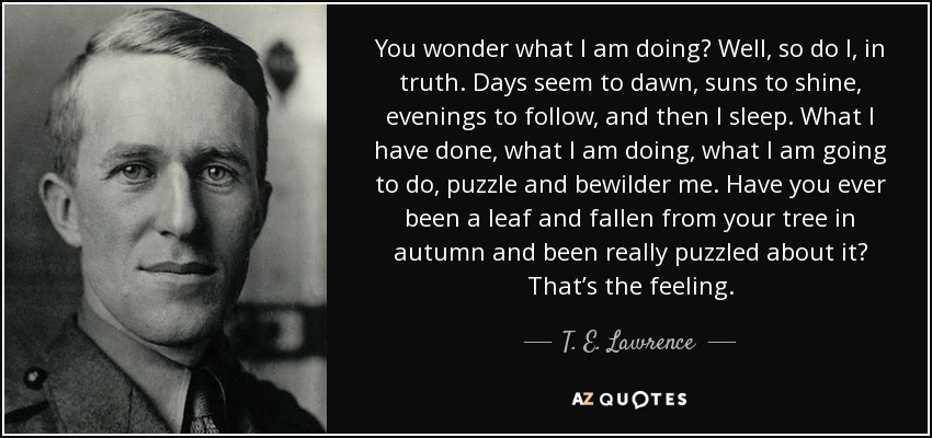 You wonder what I am doing? Well, so do I, in truth. Days seem to dawn, suns to shine, evenings to follow, and then I sleep. What I have done, what I am doing, what I am going to do, puzzle and bewilder me. Have you ever been a leaf and fallen from your tree in autumn and been really puzzled about it? That’s the feeling. - T. E. Lawrence