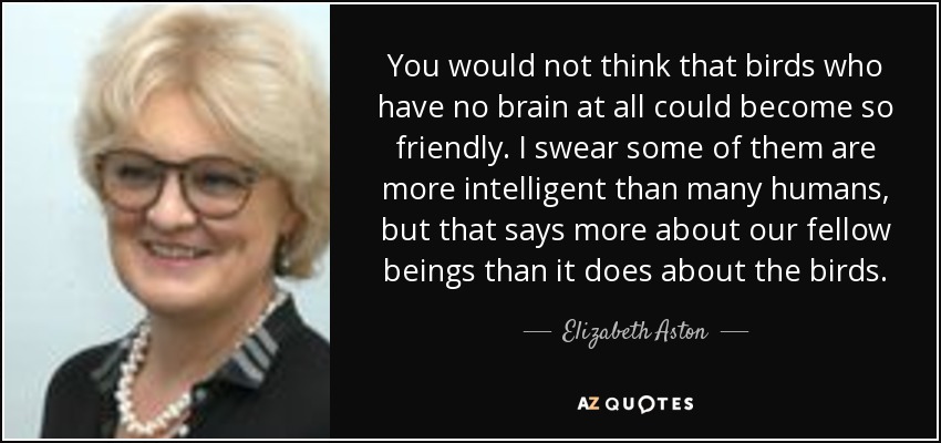 You would not think that birds who have no brain at all could become so friendly. I swear some of them are more intelligent than many humans, but that says more about our fellow beings than it does about the birds. - Elizabeth Aston