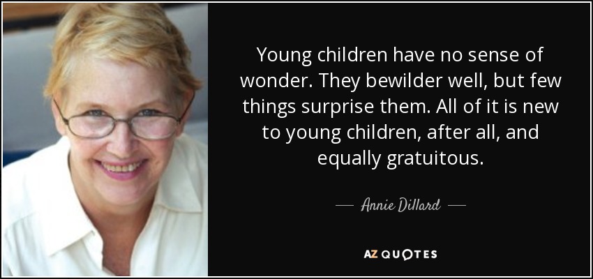 Young children have no sense of wonder. They bewilder well, but few things surprise them. All of it is new to young children, after all, and equally gratuitous. - Annie Dillard