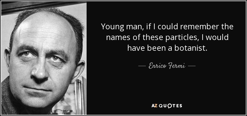 Young man, if I could remember the names of these particles, I would have been a botanist. - Enrico Fermi
