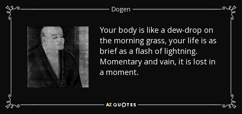Your body is like a dew-drop on the morning grass, your life is as brief as a flash of lightning. Momentary and vain, it is lost in a moment. - Dogen