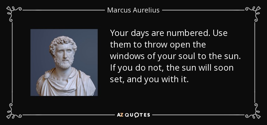 Your days are numbered. Use them to throw open the windows of your soul to the sun. If you do not, the sun will soon set, and you with it. - Marcus Aurelius
