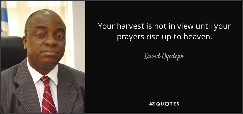 Your harvest is not in view until your prayers rise up to heaven. - David Oyedepo