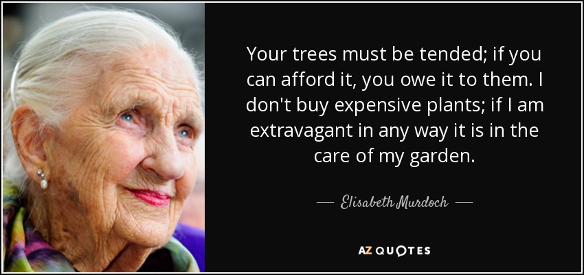 Your trees must be tended; if you can afford it, you owe it to them. I don't buy expensive plants; if I am extravagant in any way it is in the care of my garden. - Elisabeth Murdoch