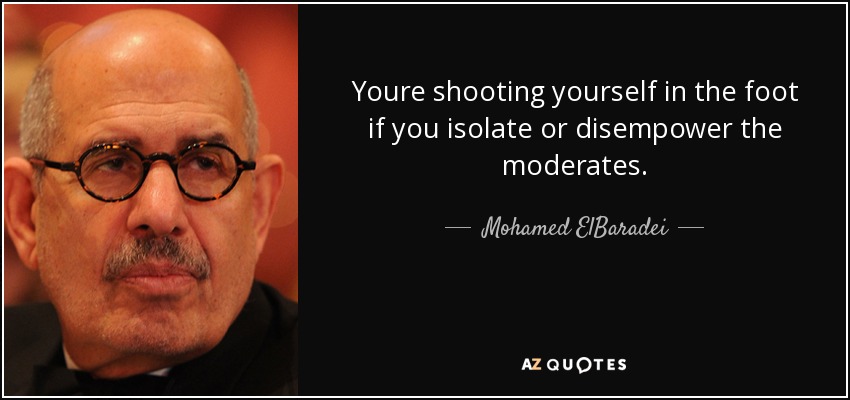 Youre shooting yourself in the foot if you isolate or disempower the moderates. - Mohamed ElBaradei