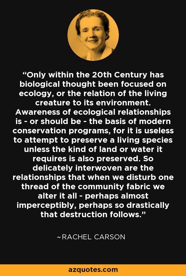 Only within the 20th Century has biological thought been focused on ecology, or the relation of the living creature to its environment. Awareness of ecological relationships is - or should be - the basis of modern conservation programs, for it is useless to attempt to preserve a living species unless the kind of land or water it requires is also preserved. So delicately interwoven are the relationships that when we disturb one thread of the community fabric we alter it all - perhaps almost imperceptibly, perhaps so drastically that destruction follows. - Rachel Carson