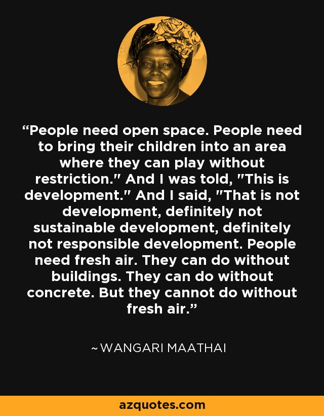 People need open space. People need to bring their children into an area where they can play without restriction.