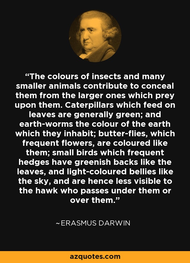 The colours of insects and many smaller animals contribute to conceal them from the larger ones which prey upon them. Caterpillars which feed on leaves are generally green; and earth-worms the colour of the earth which they inhabit; butter-flies, which frequent flowers, are coloured like them; small birds which frequent hedges have greenish backs like the leaves, and light-coloured bellies like the sky, and are hence less visible to the hawk who passes under them or over them. - Erasmus Darwin