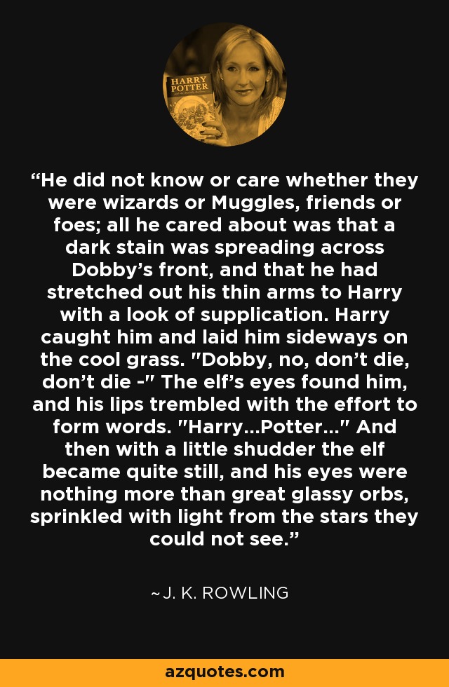 He did not know or care whether they were wizards or Muggles, friends or foes; all he cared about was that a dark stain was spreading across Dobby's front, and that he had stretched out his thin arms to Harry with a look of supplication. Harry caught him and laid him sideways on the cool grass. 