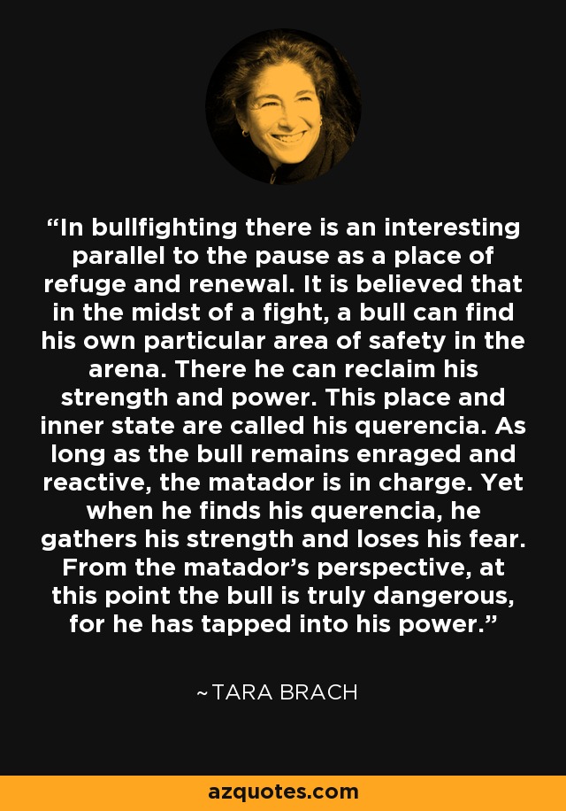 In bullfighting there is an interesting parallel to the pause as a place of refuge and renewal. It is believed that in the midst of a fight, a bull can find his own particular area of safety in the arena. There he can reclaim his strength and power. This place and inner state are called his querencia. As long as the bull remains enraged and reactive, the matador is in charge. Yet when he finds his querencia, he gathers his strength and loses his fear. From the matador's perspective, at this point the bull is truly dangerous, for he has tapped into his power. - Tara Brach