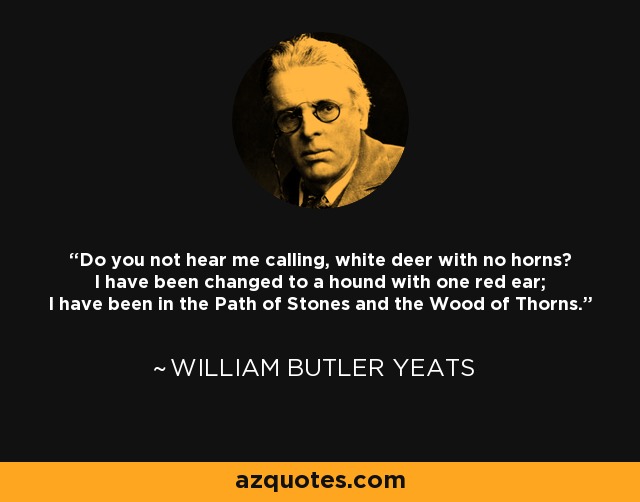 Do you not hear me calling, white deer with no horns? I have been changed to a hound with one red ear; I have been in the Path of Stones and the Wood of Thorns. - William Butler Yeats