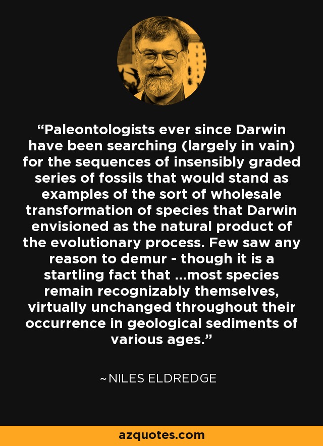 Paleontologists ever since Darwin have been searching (largely in vain) for the sequences of insensibly graded series of fossils that would stand as examples of the sort of wholesale transformation of species that Darwin envisioned as the natural product of the evolutionary process. Few saw any reason to demur - though it is a startling fact that ...most species remain recognizably themselves, virtually unchanged throughout their occurrence in geological sediments of various ages. - Niles Eldredge