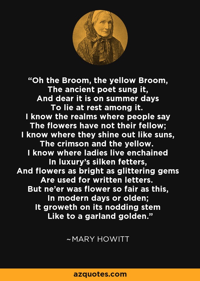 Oh the Broom, the yellow Broom, The ancient poet sung it, And dear it is on summer days To lie at rest among it. I know the realms where people say The flowers have not their fellow; I know where they shine out like suns, The crimson and the yellow. I know where ladies live enchained In luxury's silken fetters, And flowers as bright as glittering gems Are used for written letters. But ne'er was flower so fair as this, In modern days or olden; It groweth on its nodding stem Like to a garland golden. - Mary Howitt