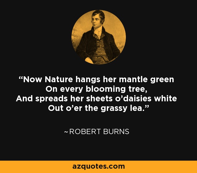 Now Nature hangs her mantle green On every blooming tree, And spreads her sheets o'daisies white Out o'er the grassy lea. - Robert Burns