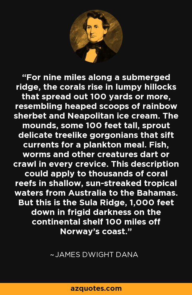 For nine miles along a submerged ridge, the corals rise in lumpy hillocks that spread out 100 yards or more, resembling heaped scoops of rainbow sherbet and Neapolitan ice cream. The mounds, some 100 feet tall, sprout delicate treelike gorgonians that sift currents for a plankton meal. Fish, worms and other creatures dart or crawl in every crevice. This description could apply to thousands of coral reefs in shallow, sun-streaked tropical waters from Australia to the Bahamas. But this is the Sula Ridge, 1,000 feet down in frigid darkness on the continental shelf 100 miles off Norway's coast. - James Dwight Dana